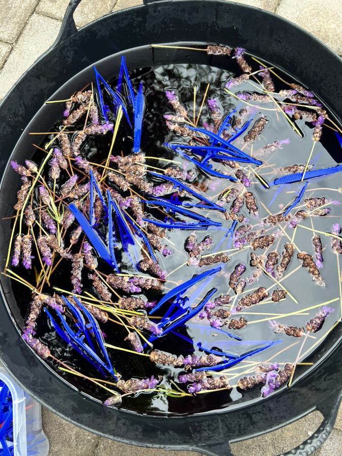’n Sensoriese bak met laventel